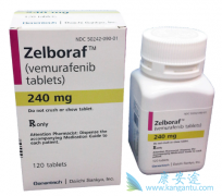 BRAFͻ�仼�߿���ʹ��ά�޷����뿹EGFR�������������濵���Ʒ���