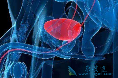 卡巴他赛 卡巴他赛