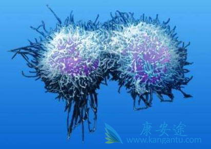 �����Ȱ�