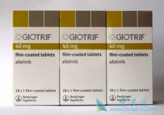 �ΰ�����ҩ�ﰢ������(AFATINIB)���û����кβ�ͬ��