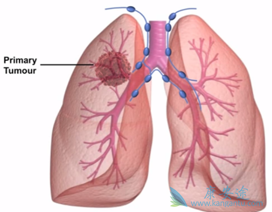 ����ͻ�为��