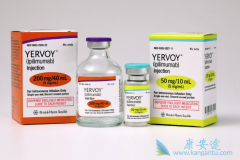 CTLA-4����Ipilimumab����������T-VEC�������ƺ�ɫ����Ч��