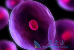 ����ҩ����³����(IBRUTINIB)���ƺ����ܰ���Ч������