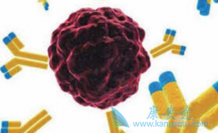 ���޻�/��������������ѪС�����ʱ���÷�������������