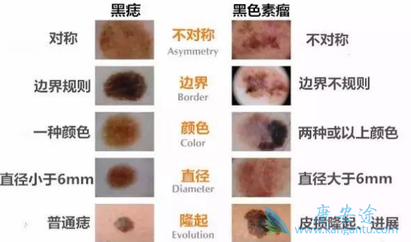 ��ɫ����