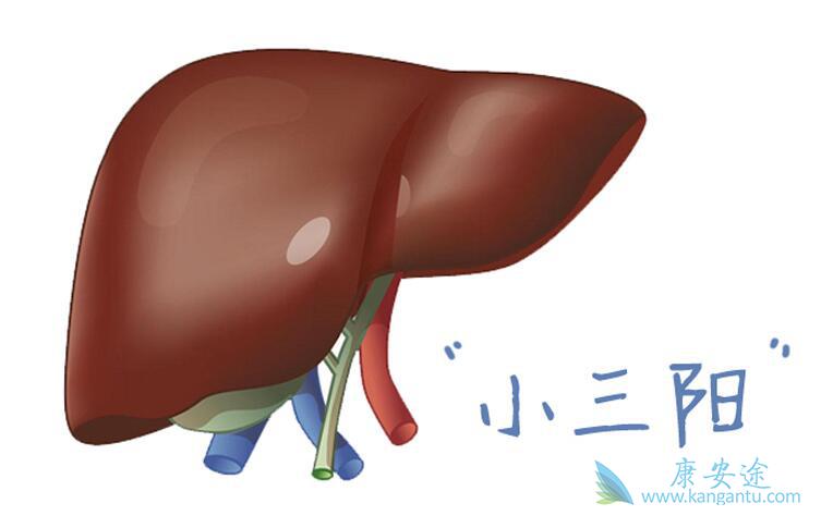 �Ҹ�С����