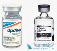 PD-1����Keytruda�������ڴ�ͳ�����Ʒ������Ͱ�֢���߷���