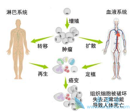 �����ܽ��ۺ���