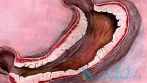 �����鵥��