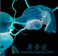 ��������(Pemetrexed)���Ƹ������ѳ���ʱ���Ƽ�����Ϊ500 mg/m2