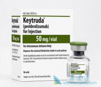 ��ķ����(Keytruda)���ϻ��ƿ����������״ϸ���ΰ����ߵķ�Ӧ��