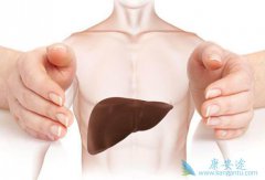 ���ü�������(Gefitinib)ʱ��ζ��Լ��ĸ�����л����أ�