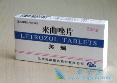 ������Ƭ