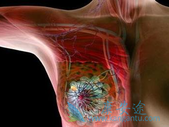 ������Ƭ