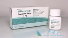 ������ͨ��ͥ��˵�Լ۱���ߵ�������(Regorafenib)�汾���ĸ���