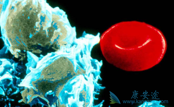 ��ɳ����