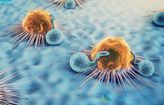 阿昔替尼 阿昔替尼