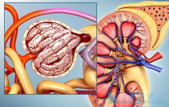 阿西替尼 阿西替尼
