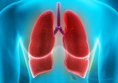 ��ά͡(Avastin)�������Ʒ�Сϸ���ΰ��������Ч��