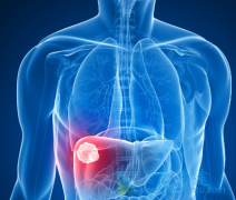 �ΰ��ι��ܼ���йȱ�ת��ø��Ȳ�ת��ø����Ҫ��