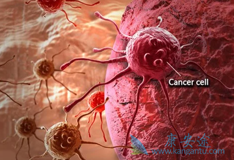 RET靶点抑制剂 RET靶点抑制剂