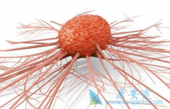 ת������������һ��ѡ����������(Suninat)������άĪ˾