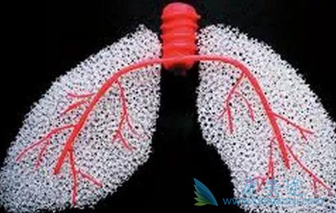 ����ά��