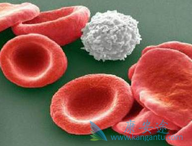 ��ɳ����