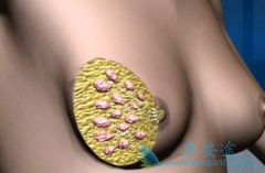 ŵ�ߵ�ʿ���ƺ��ӳ��������������ܷ�������ٰ���������