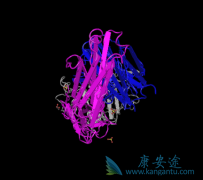 ���ᵥ��(Panitumumab)�ڶ���ʵ�����о��ж���ʾ�������õ�������