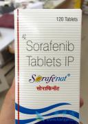 �༪��/�������������Ի�����ҩ���øΰ����ƽ����½׶�