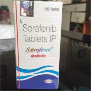 ��ӡ�ȶ༪�����Ƹΰ�ǰ����������Ϊ��ʲô��