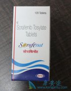 ���˷���ӡ�ȶ༪����ʵ�������������ʲô��