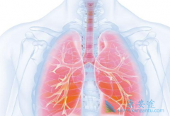 ŷ����(nivolumab)/���䵥��ʹ���ַΰ�����ʵ���˳�������