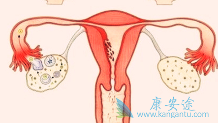 ��ķ����