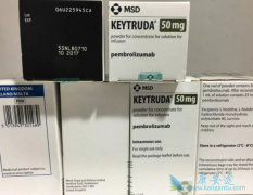 Ƥ��������Ӧ��Ԥ��PD-1ҩ����ķ����(Keytruda)����Ч