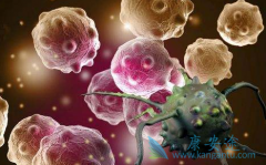 �ΰ����ڳ����޿�(ERLOTINIB)�ڼ䷢������ô��