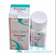 ����ҩ��ӡ������ɳ(GEFINAT)����Է��ö���ʱ��