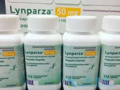 �й��ѳ��������׸�PARP���Ƽ�����ҩ�����������Ӧ֢����