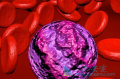 ʩ����(Sprycel)�Ĳ�����Ӧ����Щ�����߸���δ�����