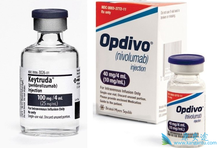 �����Ʒ�