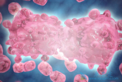 ��������(Nilotinib)��δ�ﵽEMR��Ѫ�����ߵ���ѡ����