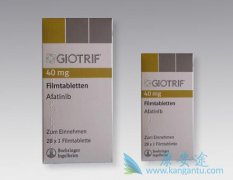 AFATINIB(��������)��ת���Է�Сϸ���ΰ����߾������ÿ͹ۻ�����