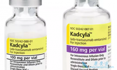 ʲô��T-DM1(Ado-trastuzumab)��T-DM1�������ٰ�Ч����ô����