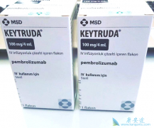 PD-1����keytruda�������Ʒ�Сϸ���ΰ����ٴ���������