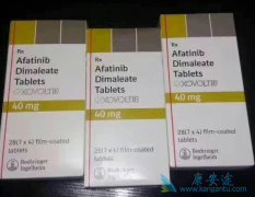 ��������(Afanix)��һ��TKI�ΰ�ҩ�����������кβ�ͬ��