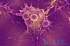 �ܰ���������ע����������(Adcetris)ʱӦע����Щ����