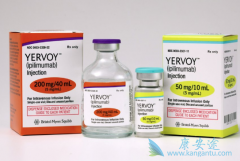 CTLA-4ҩ��Yervoy�Ļ�����־����һ����֢�����Ʒ�������