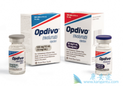 PD-1���Ƽ�Opdivo������ƥ������������������Ч����ô��