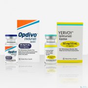 PD-1���Ƽ�Opdivo��������PD-1ͨ·�ķ�����֮һ�ƽ��з���